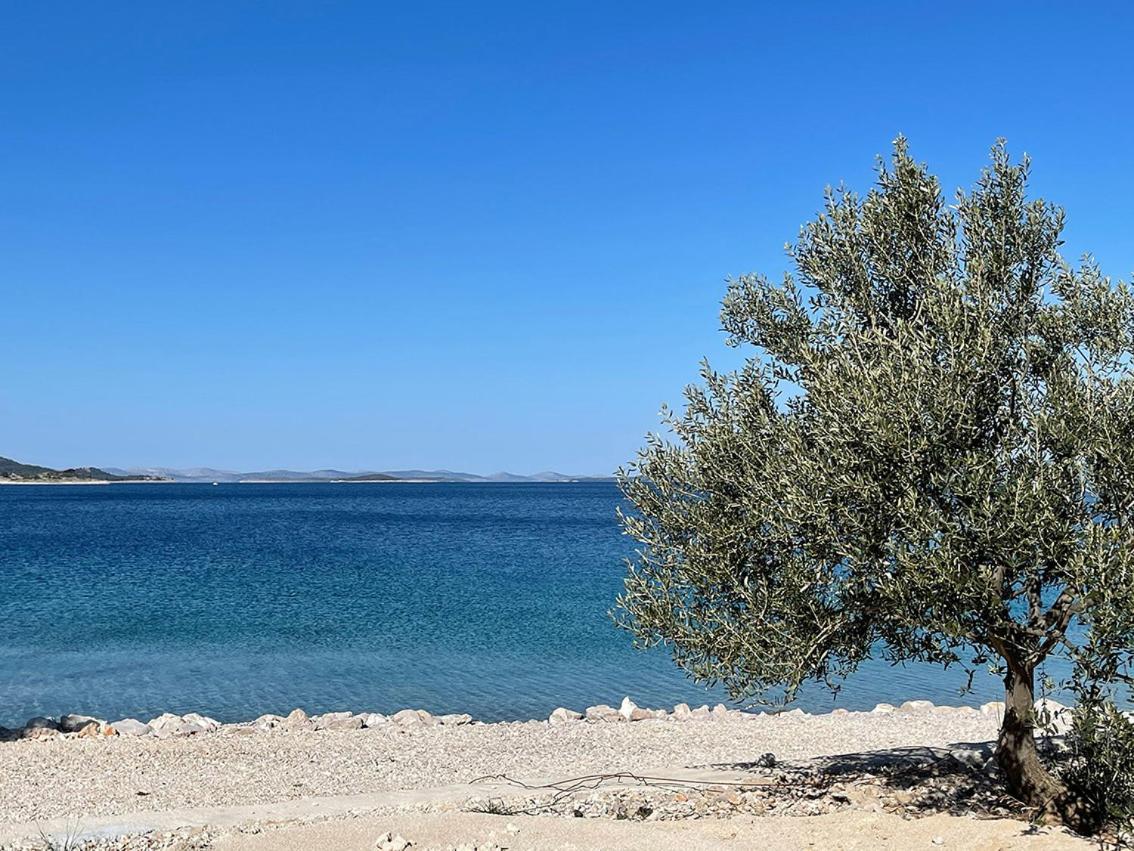 Villa Koral Drage Exteriér fotografie
